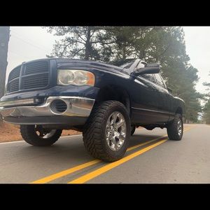 Meet your Posher, Cheyenne